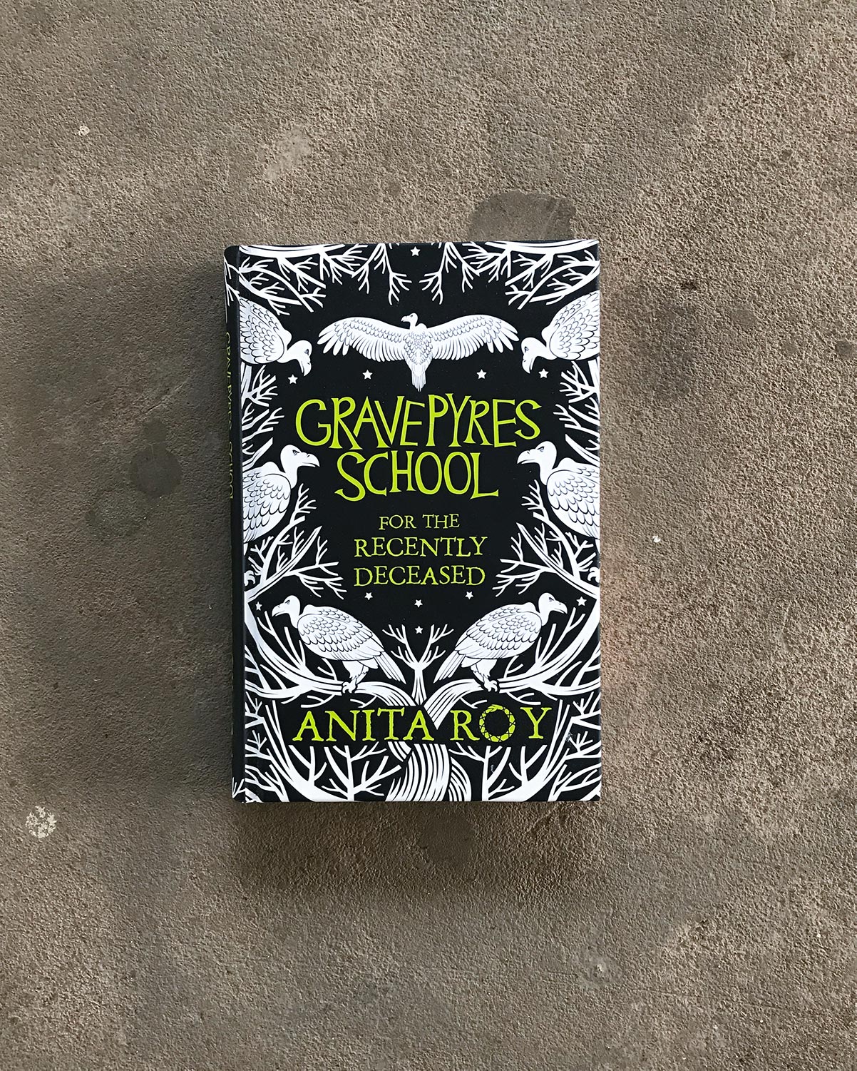 Gravepyres School for the Recently Deceased by Anita Roy